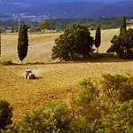 Castello